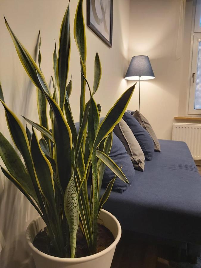 Apartament Na Wyspie Opole Eksteriør billede